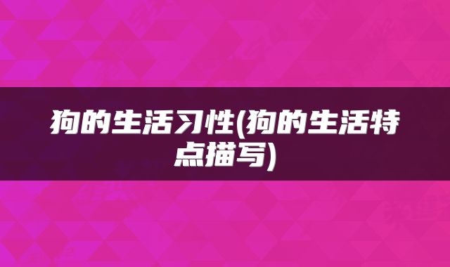 狗的生活习性(狗的生活特点描写)