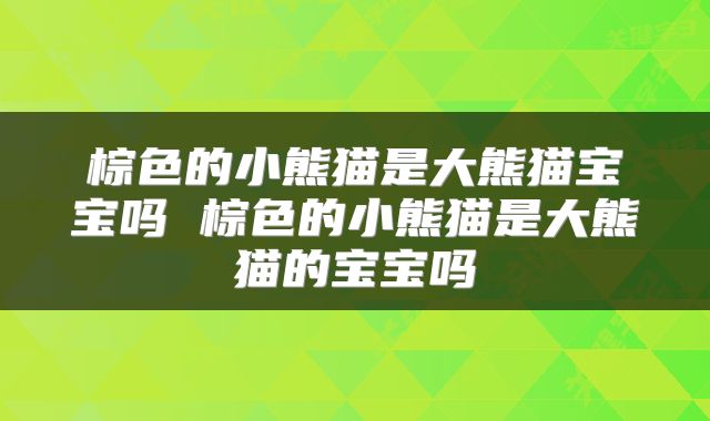 棕色的小熊猫是大熊猫宝宝吗 棕色的小熊猫是大熊猫的宝宝吗