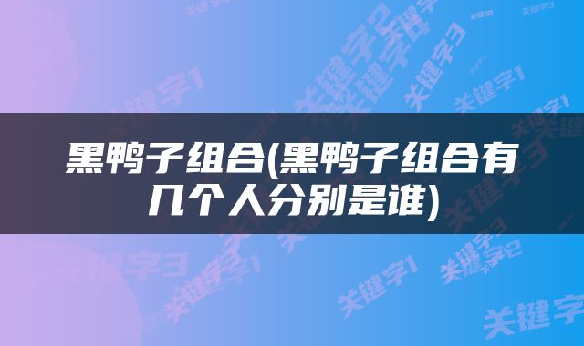黑鸭子组合(黑鸭子组合有几个人分别是谁)