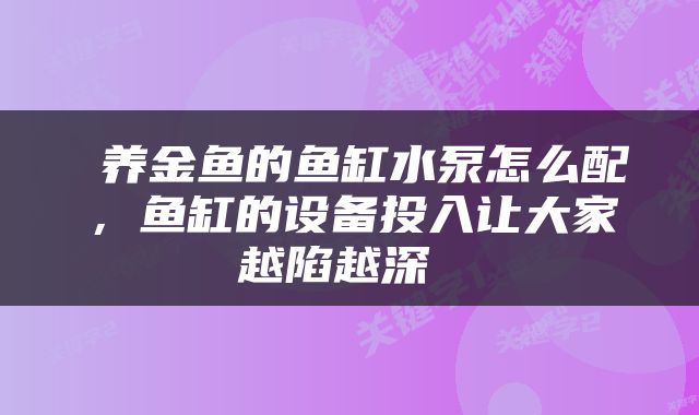  养金鱼的鱼缸水泵怎么配，鱼缸的设备投入让大家越陷越深 