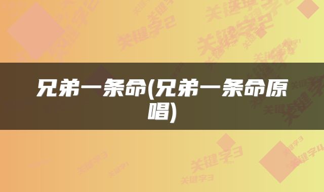 兄弟一条命(兄弟一条命原唱)
