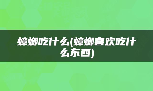 蟑螂吃什么(蟑螂喜欢吃什么东西)