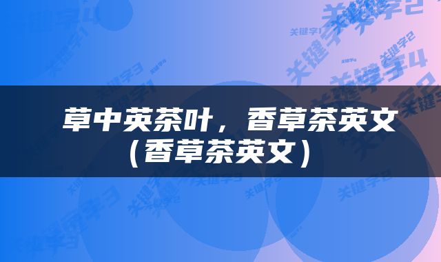  草中英茶叶，香草茶英文（香草茶英文） 