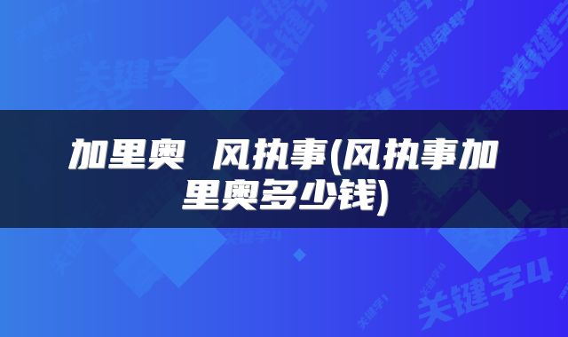 加里奥 风执事(风执事加里奥多少钱)