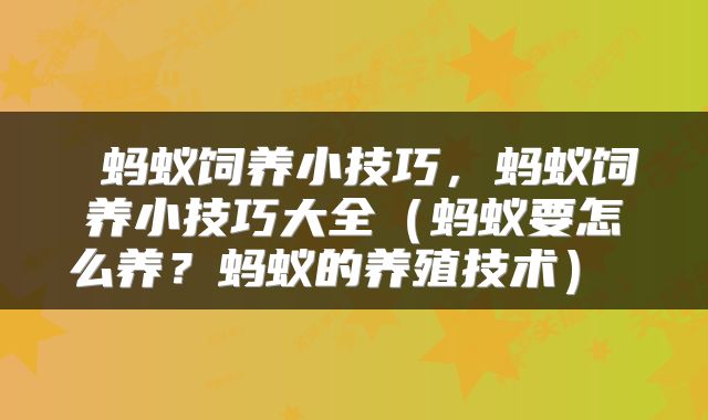  蚂蚁饲养小技巧，蚂蚁饲养小技巧大全（蚂蚁要怎么养？蚂蚁的养殖技术） 