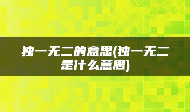 独一无二的意思(独一无二是什么意思)
