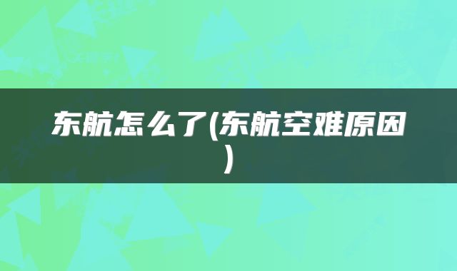 东航怎么了(东航空难原因)