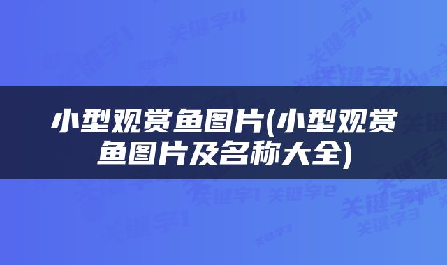 小型观赏鱼图片(小型观赏鱼图片及名称大全)