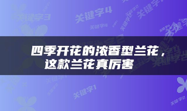  四季开花的浓香型兰花，这款兰花真厉害 