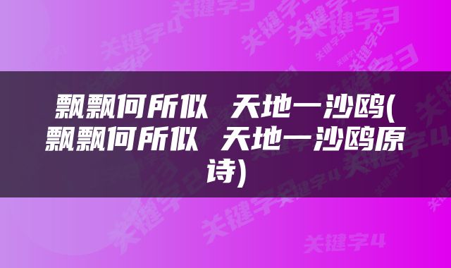 飘飘何所似 天地一沙鸥(飘飘何所似 天地一沙鸥原诗)