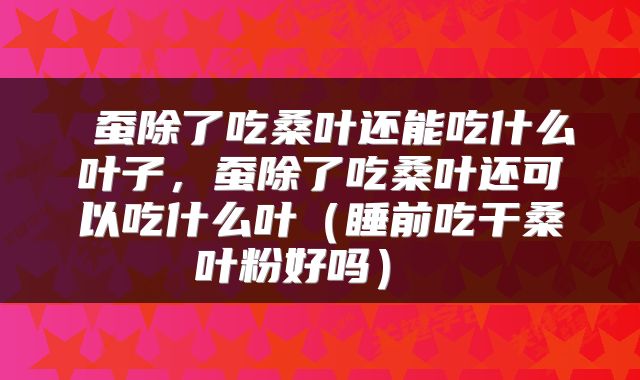 蚕除了吃桑叶还能吃什么叶子,蚕除了吃桑叶还可以吃什么叶(睡前吃干桑叶粉好吗)