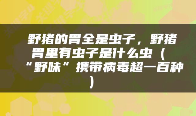  野猪的胃全是虫子，野猪胃里有虫子是什么虫（“野味”携带病毒超一百种） 