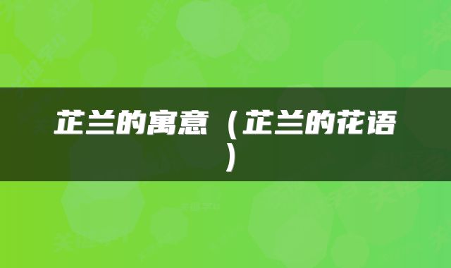 芷兰的寓意（芷兰的花语）