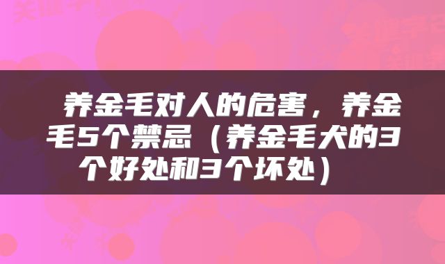  养金毛对人的危害，养金毛5个禁忌（养金毛犬的3个好处和3个坏处） 