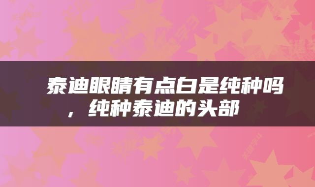 泰迪眼睛有点白是纯种吗，纯种泰迪的头部 