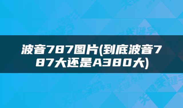波音787图片(到底波音787大还是A380大)