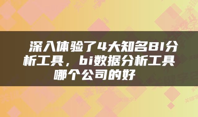  深入体验了4大知名BI分析工具，bi数据分析工具哪个公司的好 