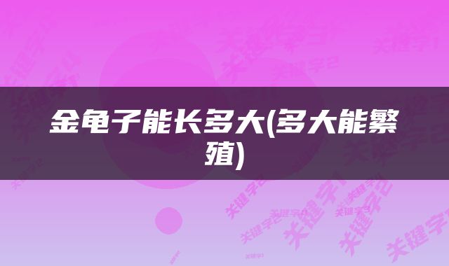 金龟子能长多大(多大能繁殖)