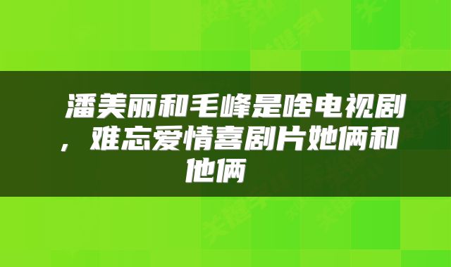  潘美丽和毛峰是啥电视剧，难忘爱情喜剧片她俩和他俩 