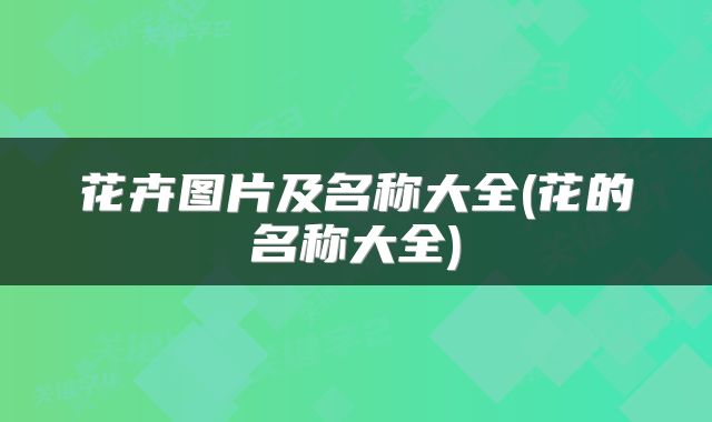 花卉图片及名称大全(花的名称大全)