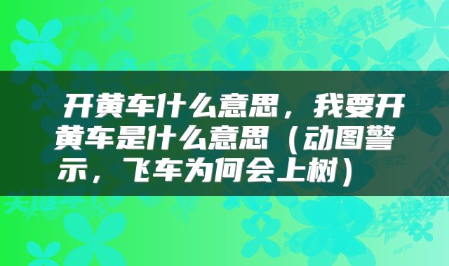  开黄车什么意思，我要开黄车是什么意思（动图警示，飞车为何会上树） 