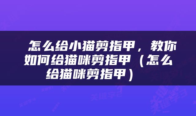  怎么给小猫剪指甲，教你如何给猫咪剪指甲（怎么给猫咪剪指甲） 