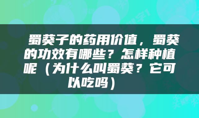  蜀葵子的药用价值，蜀葵的功效有哪些？怎样种植呢（为什么叫蜀葵？它可以吃吗） 