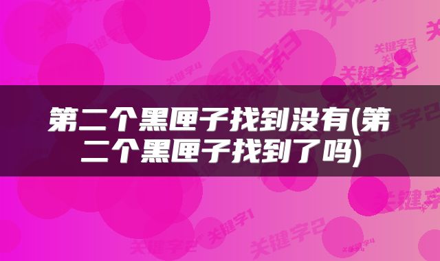 第二个黑匣子找到没有(第二个黑匣子找到了吗)