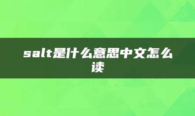 salt是什么意思中文怎么读