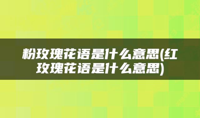 粉玫瑰花语是什么意思(红玫瑰花语是什么意思)