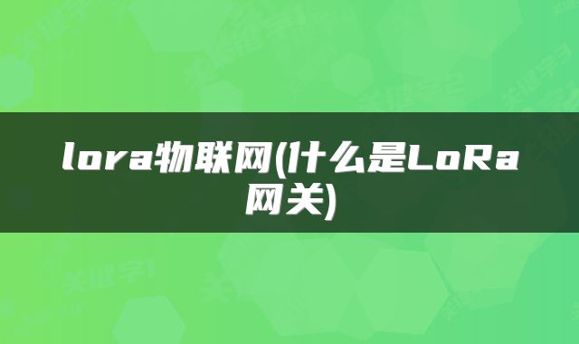 lora物联网(什么是LoRa网关)