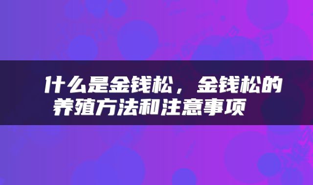  什么是金钱松，金钱松的养殖方法和注意事项 