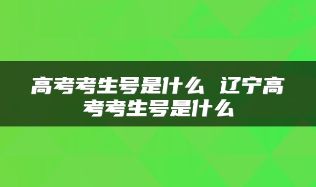 高考考生号是什么 辽宁高考考生号是什么