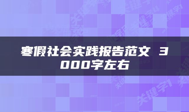 寒假社会实践报告范文 3000字左右