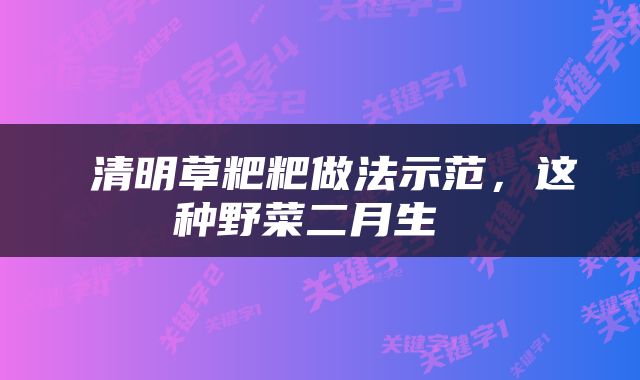  清明草粑粑做法示范，这种野菜二月生 