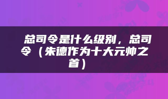  总司令是什么级别，总司令（朱德作为十大元帅之首） 