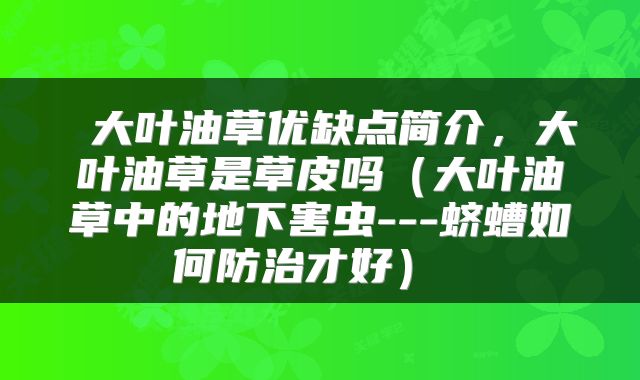  大叶油草优缺点简介，大叶油草是草皮吗（大叶油草中的地下害虫---蛴螬如何防治才好） 