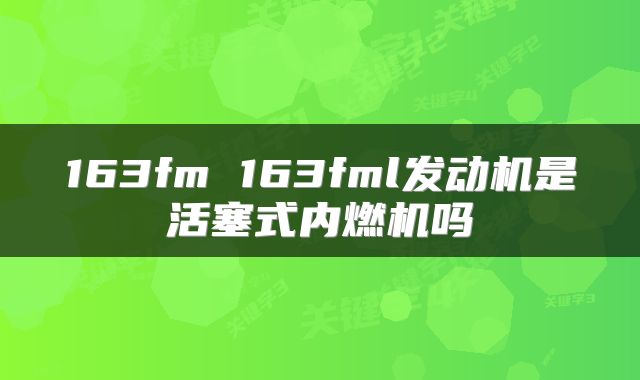 163fm 163fml发动机是活塞式内燃机吗