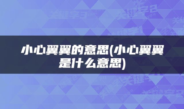 小心翼翼的意思(小心翼翼是什么意思)