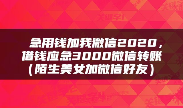  急用钱加我微信2020，借钱应急3000微信转账（陌生美女加微信好友） 