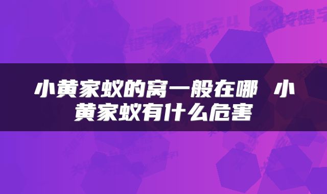 小黄家蚁的窝一般在哪 小黄家蚁有什么危害
