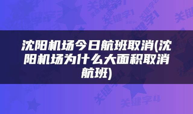 沈阳机场今日航班取消(沈阳机场为什么大面积取消航班)