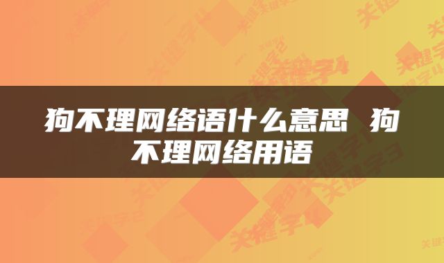 狗不理网络语什么意思 狗不理网络用语