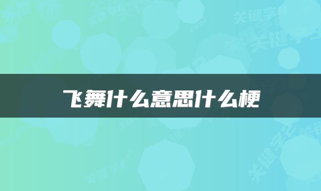 飞舞什么意思什么梗