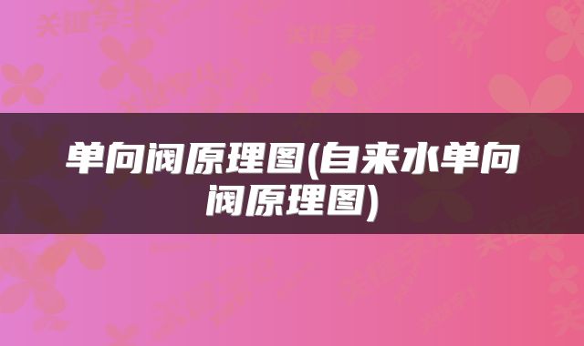 单向阀原理图(自来水单向阀原理图)