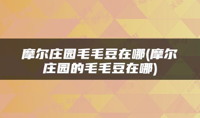 摩尔庄园毛毛豆在哪(摩尔庄园的毛毛豆在哪)