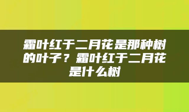 霜叶红于二月花是那种树的叶子？霜叶红于二月花是什么树