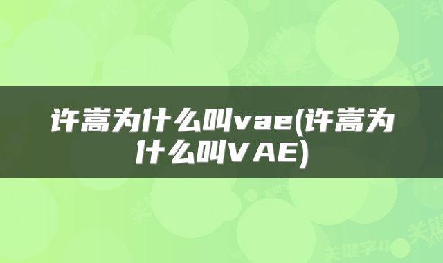 许嵩为什么叫vae(许嵩为什么叫VAE)