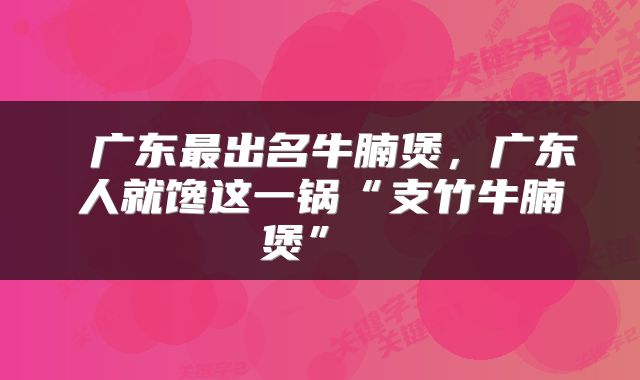  广东最出名牛腩煲，广东人就馋这一锅“支竹牛腩煲” 
