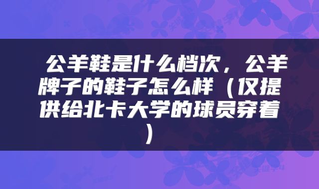  公羊鞋是什么档次，公羊牌子的鞋子怎么样（仅提供给北卡大学的球员穿着） 